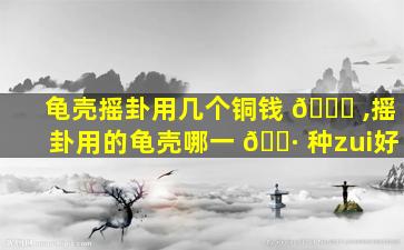 龟壳摇卦用几个铜钱 🍀 ,摇卦用的龟壳哪一 🌷 种zui
好